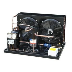 Unidad de condensación refrigerada por aire del compresor Bitzer de dos etapas del alto rendimiento del almacenamiento en frío de la cámara frigorífica