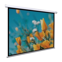 120 pouces 4:3 écran de projection motorisé OEM de haute qualité pour Home cinéma doux blanc gris électrique