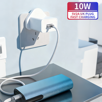 Internationale USB A Bestseller 5V2A Universele Aangepaste Voeding Wandladers Adapters Fabrieksnelle UK Stekker voor Oordopjes