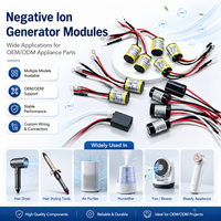 Module DC Générateur d'ions négatifs Alimenté par USB Générateur d'ozone Vente directe usine Pièces détachées pour sèche-cheveux Pièces de rechange après-vente
