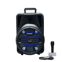 Sistema de Karaoke Portátil para Exteriores de Alta Fidelidad, Micrófono Inalámbrico 5.0, Woofer de 12 Pulgadas, Salida de 20 W, Iluminación LED RGB, Altavoz con Tarjeta de Memoria, 5-10 Horas de Duración