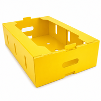 Emballage recyclable en PP ondulé, boîte de rangement en Corflute, bacs en plastique, boîte d'emballage, boîte en Coroplast pour fruits