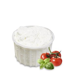 Vassoi in Cartone Polietilene Monouso Misura 3 (23,5x17 cm) per Torte, Pasticcini e Alimenti Rustici - Product Image 6