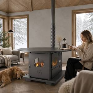 Stufa a Pellet Compatta Fangran 120Y da 8kW, Stufa ad Aria Calda a Doppio Combustibile per Sala da Pranzo Familiare 60m² - Product Image 2