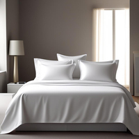 Vente en gros de draps de lit modernes en microfibre OEKO-TEX, ensemble de drap-housse et taie d'oreiller tissés doux et respirants
