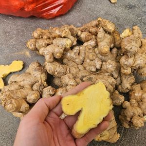 ขิงสดพรีเมี่ยมจากเวียดนามอุดมไปด้วยรสชาติและสรรพคุณทางยา - Product Image 3