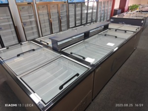 Congélateur commercial de haute qualité avec éclairage LED, vitrine pour crème glacée et viande, congélateur à porte coulissante double en <span class=keywords><strong>verre</strong></span> trempé - Product Image 3
