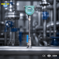 Flowmeter Gas Termal Langsung dari Pabrik 4-20mA HART untuk Gas Alam, Udara Terkompresi, Biogas, Metana, Dapat Disesuaikan OEM