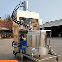 Centrifugeuse à pression hydraulique industrielle pure et froide en deux étapes Fabricants commerciaux de petits fruits Orange Gingembre
