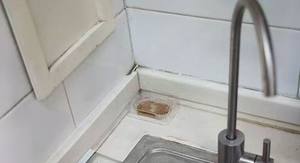 Trampas para <span class=keywords><strong>hormigas</strong></span> y cucarachas, trampas físicas, cajas potentes con medicina para matar cucarachas - Product Image 6