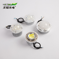 Module LED 6000K IP67 en promotion – Remplacement de module LED 50W, source lumineuse DC 30V, accessoires de lampe pour projecteurs et éclairages industriels.