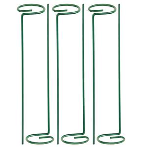 C91 4mm d'épaisseur <span class=keywords><strong>jardin</strong></span> tige unique fleur Support pieu <span class=keywords><strong>Amaryllis</strong></span> plante Cage Support anneaux plante Support piquets - Product Image 5