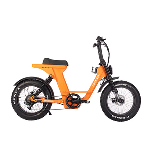 Baogl 20 \ "Fatbike Bicicleta eléctrica con 48V 1000W Motor de cubo trasero Batería de litio Plegable 250W EBike Fat Tire - Product Image 5