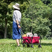Chariot utilitaire pliable GT1800 pour enfants, pique-nique en plein air, plage, camping, jardin