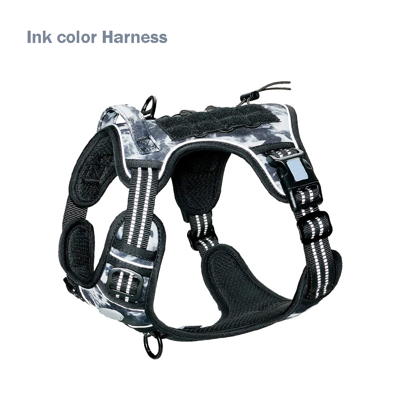 Harnais noir + bleu