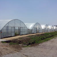 Serre tunnel à prix d'usine chinoise, à usage commercial, à vendre