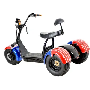 Più nuovo 2000W Scooter elettrico prezzo cina 3 ruota con sedile per adulti tricicli elettrici