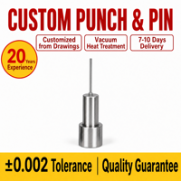 Sistema Expulsor de Moldes JINGRUIDA de Alta Calidad con Punzón de Aguja Largo, Punta Fina, Acero de Grado Superior Tratado Térmicamente, Fabricación OEM ODM Personalizada