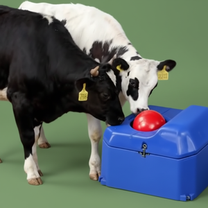 <span class=keywords><strong>Abbeveratoio</strong></span> Antigelo da 40L - Product Image 1