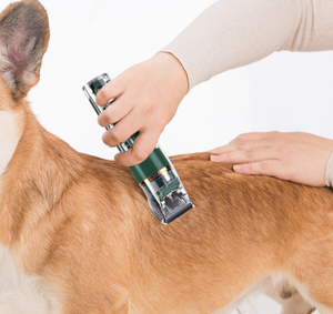 Cortadora <span class=keywords><strong>de</strong></span> <span class=keywords><strong>pelo</strong></span> <span class=keywords><strong>para</strong></span> perros y gatos, afeitadora <span class=keywords><strong>para</strong></span> mascotas, juego completo <span class=keywords><strong>de</strong></span> afeitadora <span class=keywords><strong>profesional</strong></span> recargable <span class=keywords><strong>para</strong></span> mascotas, máquina <span class=keywords><strong>de</strong></span> corte - Product Image 6