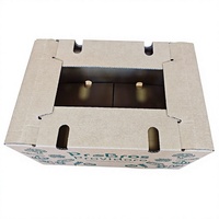 Emballage pour produits frais, écologique, recyclable, carton ondulé robuste, doublure en éponge, ventilé, expédition de produits alimentaires, légumes