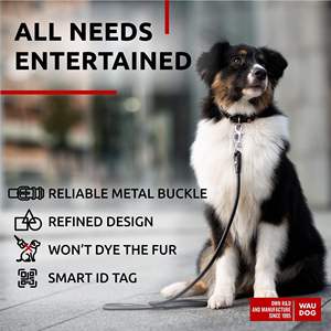 Collier de chien en cuir roulé Ultra souple de luxe DB colliers rembourrés souples de cou de 18 à 21 pouces pour chiens mâles femelles de race moyenne et grande PU - Product Image 2