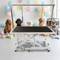 Table de toilettage pour animaux, table de coiffure pour chiens, table de toilettage électrique avec levage, table de soin pour chats et chiens