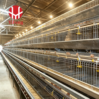 Cage à poules pondeuses de type A à 3 niveaux avec alimentation automatique, abreuvoir à tétine, courroie de fumier, collecte des œufs, poulailler galvanisé
