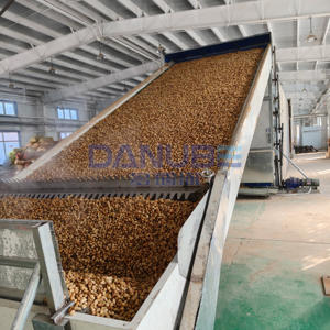 Large Scale Peanut Cleaning Steaming and Drying Production Line Mesh Belt Dryer Peanut Dehydrator Machine - Product Image 1