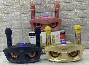 ลำโพงไร้สายคาราโอเกะแบบ2-in-1สำหรับครอบครัวแบบ SD306พร้อมไมโครโฟนคู่ sd306ลำโพงนกฮูก - Product Image 2