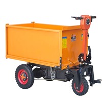 Triciclo de Carga Eléctrico de Plataforma de 500 kg de Alta Resistencia con Cuatro/Tres Ruedas, Económico, con Batería de Plomo-Ácido OEM para Herramientas
