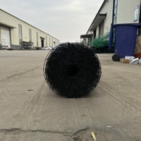 Grillage carré noir soudé en PVC pour clôture de jardin, potager et poulailler