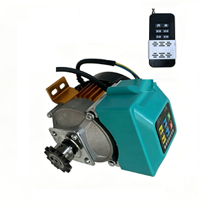Motor CC sin escobillas BLDC de alta eficiencia y baja velocidad 500W 650W 800W 12V con control remoto y freno para cabrestante - Product Image 1