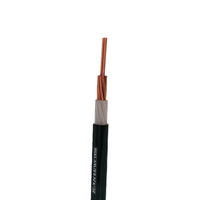 Câble électrique basse tension en cuivre XLPE PVC robuste pour centrale électrique, voie ferrée aérienne, construction industrielle et bâtiment