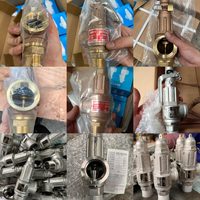 صمام أمان غلاية البخار DKV A27H مع ذراع ومانع تسرب PTFE ونابض من الفولاذ المقاوم للصدأ SS304، بخيط NPT BSP، من DN15 إلى DN50 للبخار والماء الساخن