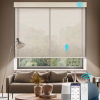 Persianas Personalizadas OEM para Ventanas Matter Home, Persianas Eléctricas Inteligentes, Persianas Enrollables Motorizadas Zigbee