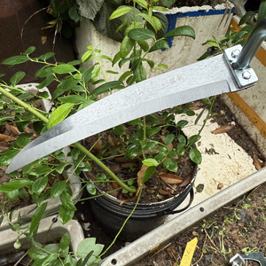 Manual Stainless Steel Grass Pulling Digging Shovel Leek Knife <b>Weeding</b> Root <b>Removal</b> Seedling Lifting Loosening Soil Sharp Tooth - Product Image 5