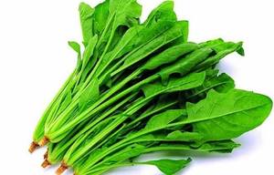 100% doğal <span class=keywords><strong>Basella</strong></span> <span class=keywords><strong>Alba</strong></span> özü | Toptan Malabar ıspanak özü - Product Image 3