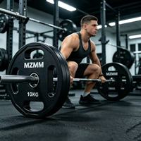Plaques de poids réglables de qualité commerciale à quatre trous avec noyau en acier et revêtement en caoutchouc inodore, portables pour les clubs de fitness