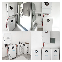 Batterie LiFePO4 51,2V 314Ah 16KWh 17KWh avec protection IP65, BMS intelligent, 8000+ cycles pour système de stockage d'énergie domestique (normes EU/UKCA)