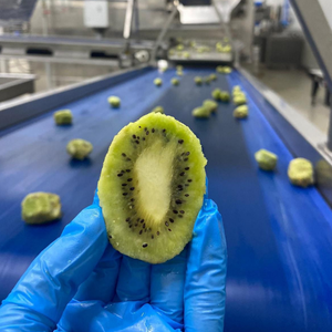 Kiwifruit Orgánico Liofilizado, Refrigerio Saludable Natural, Chips de Fruta Crujientes, Venta al por Mayor a Granel, Exportación, Rebanadas de Primera Calidad - Product Image 2