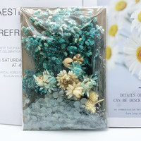 Natürlich Konservierte Gepresste Getrocknete Blumen und Pflanzen für Gemischte Packungen, Handwerk, Aromatherapie, Kerzen, Epoxidharz DIY-Zubehör