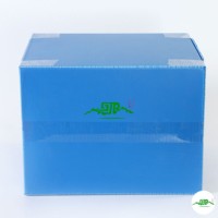 Boîtes de transport en plastique PP renforcé, style sucette, antidérapantes, pliables, empilables, personnalisables pour les industries alimentaires et de jus