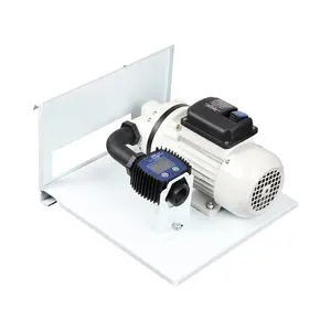 AdBlue transfer pump 220V AC 12v24v DC portable electric urea pump set IBC Kit pump for DEF