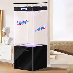 Aquarium Woonkamer Glas Ultra Witte Tank Grote, Middelgrote En Kleine Professionele Bodem Filter Aquarium Ecologische Dragon Vis