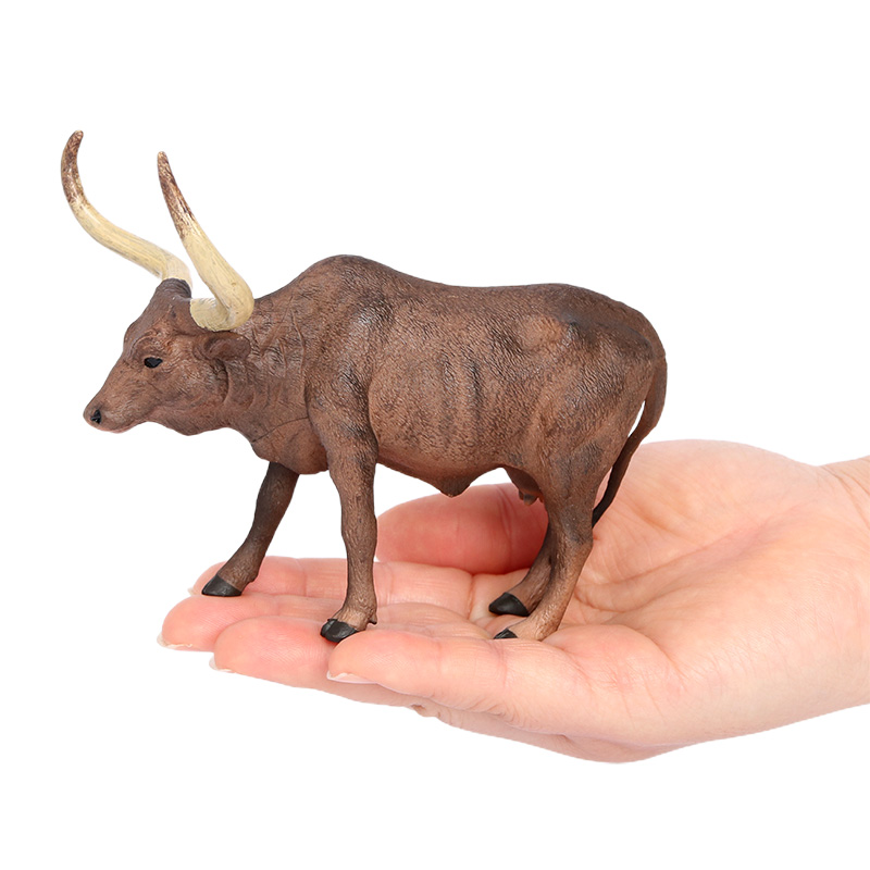 วัวอนโคลาวาทูซี 2569