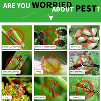 Pièges à mouches solides personnalisés Bugs Sticky Board Insectes Tueur de parasites Piège à mouches d'extérieur pour les pucerons Champignons