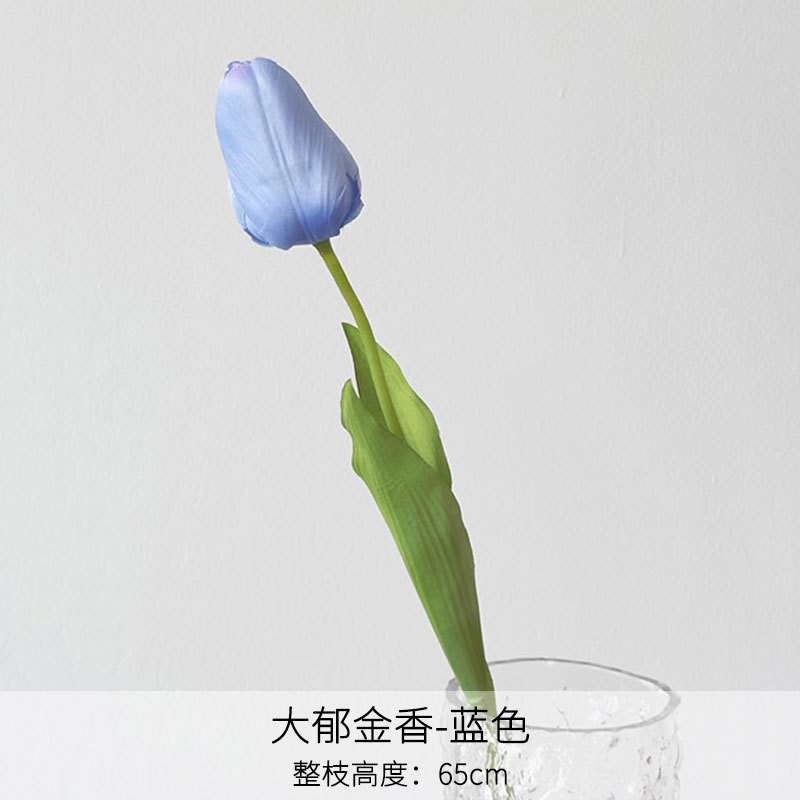 Grande tulipe bleue