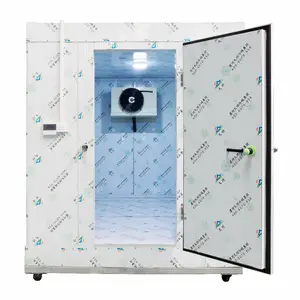 customized air-conditioned cold storage equipment refrigerated cold storage van temperature and size can be customized