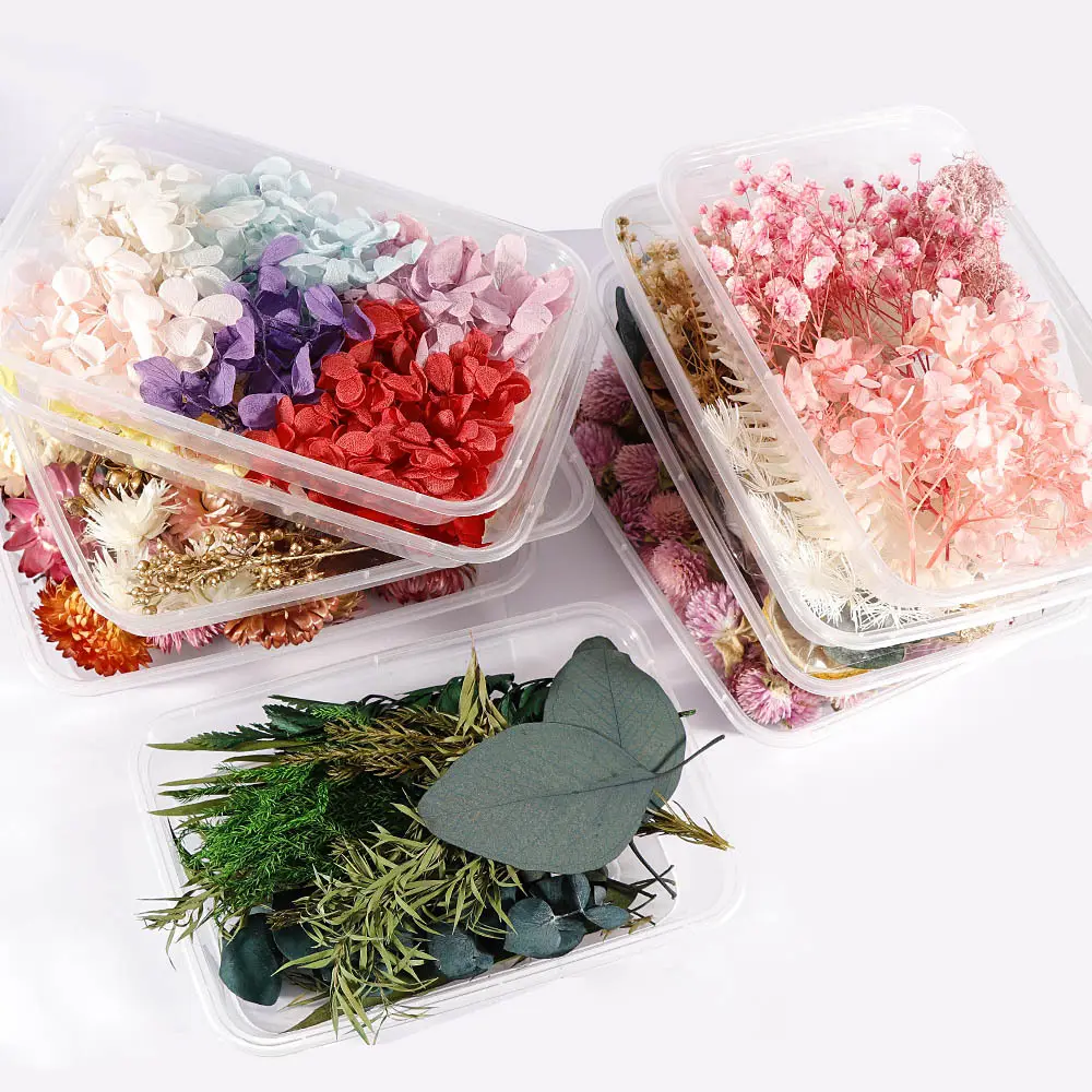 C047 Real Pressed Preserved Dried Flowers Leaves Mixed Multiple Colorful For DIY Candle Aromatherapy